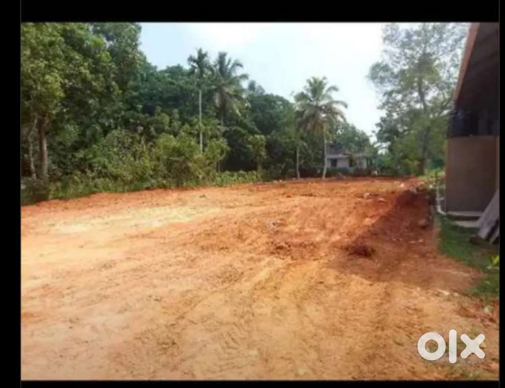 25 സെൻ്റ് സ്ഥലം മുഴുവനയോ പ്ലോട്ടുകളയോ വിൽപനക്ക്