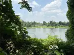 7.5 acres of river side plot