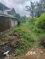 PARIPALLY EDIYAMVILA  NH 400 MITTARMARI  34cant
