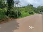 Ernakulam, thiruvanyoor 200cent land for sale.