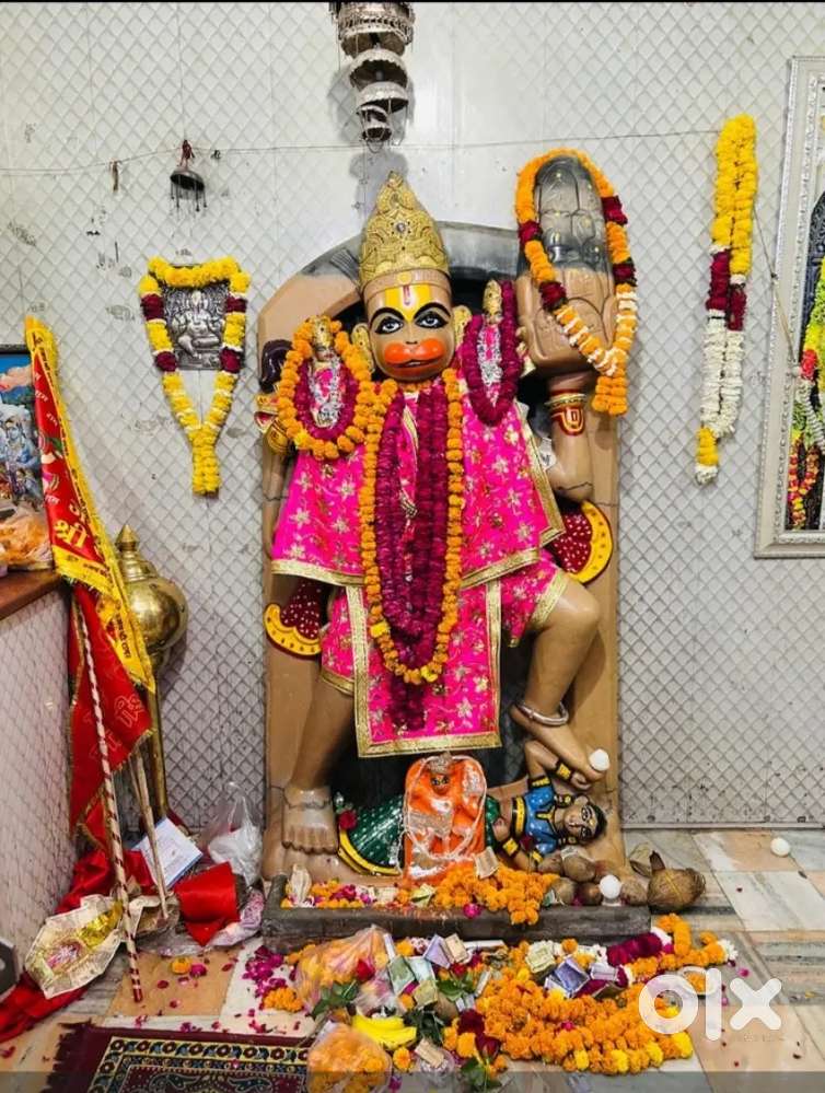 Madhu vihar near d.chungi ,near holy child school