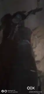 8 years left this bike and bargning is allowed