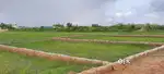 KANDARPUR RAILWAY STATION FRONT PLOT