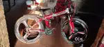 Appgrow  renger bycycle