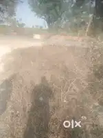 On road (Kamalpur by pass) 2 Side