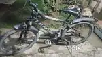 2 years old cycle