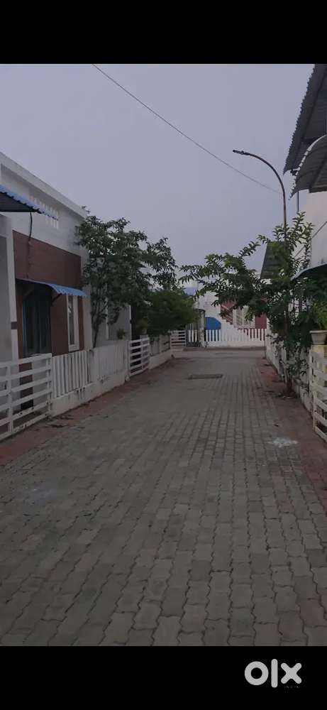 3BHK Individual house/ villa for rent
