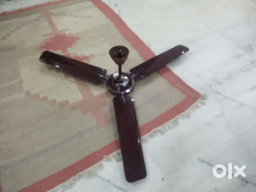 Bajaj Edge fan for sell
