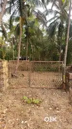 One Acre coconut land tar road facing with water facilities available