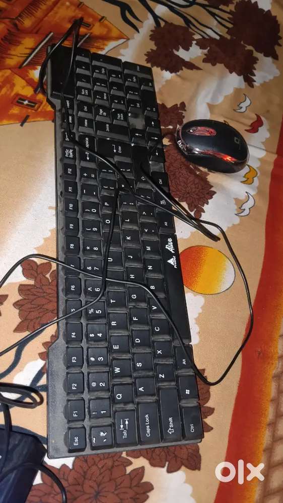 7 day old                          y