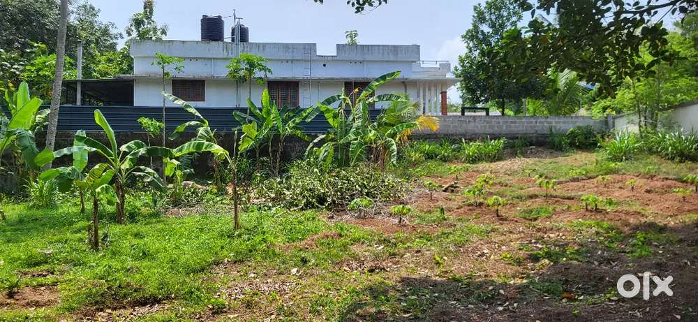 Land of sale/ 7L/ cent