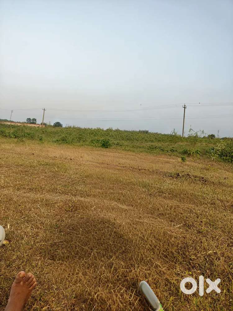 Land sell in gossaipur lalman at low price  kotiyan emergency  money