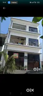 Palm green house sale