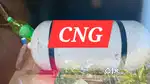 Datsun GO Plus D, 2016, CNG & Hybrids