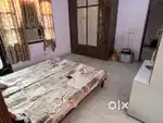 1 BHK Furnished Roommate