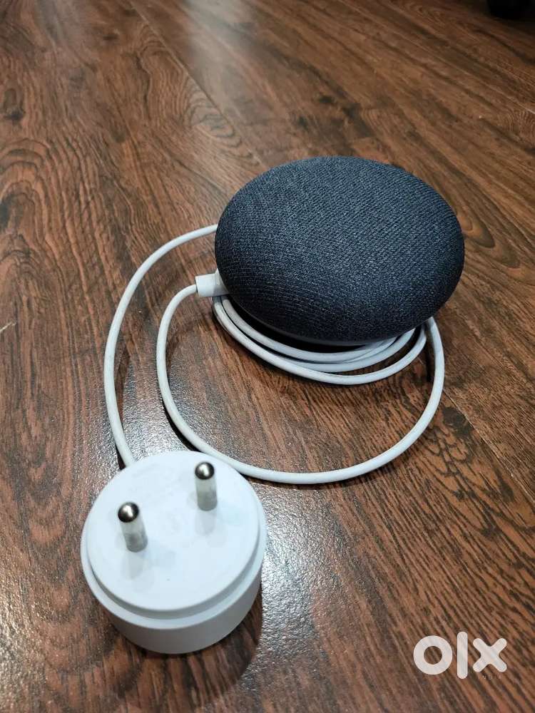 Google Mini Home