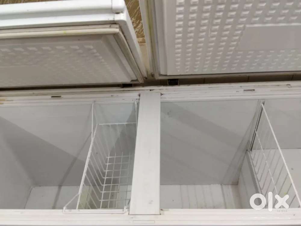 Deep freeze Blue star company