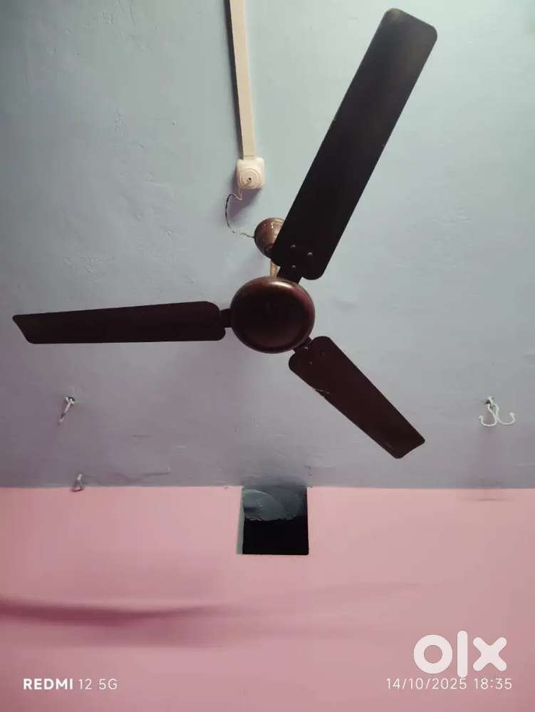 I want to give my room on rent