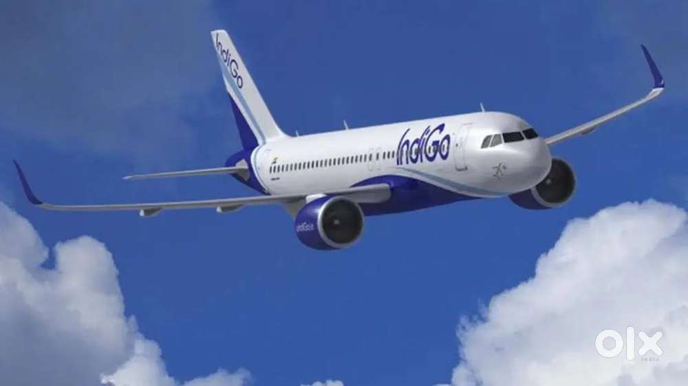 Male and Female Hiring for indigo Airlines Airport job in All India
