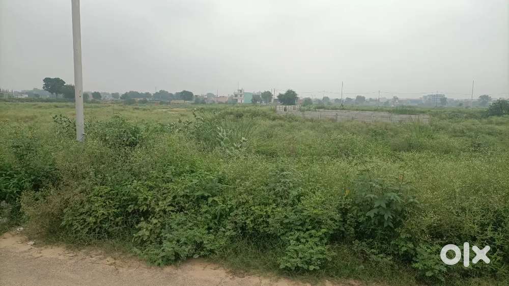 Kisan Abadi Plot, Percentage Plot, Residential Plot, 6% PercentagePlot