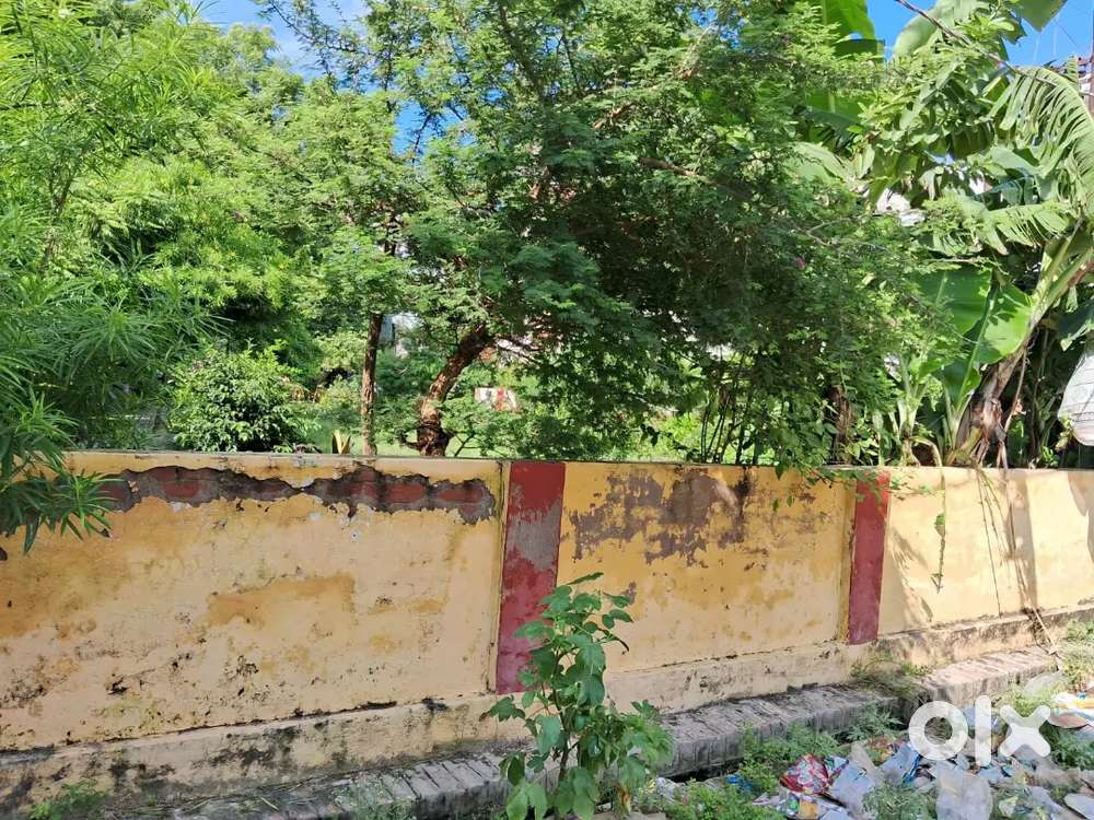 ADA Plat 16.4×40 फिट