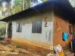 40 Cent Plot with House in Parappanagadi, Kenichira, Wayanad