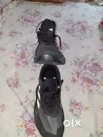 Addidas terrex shoes
