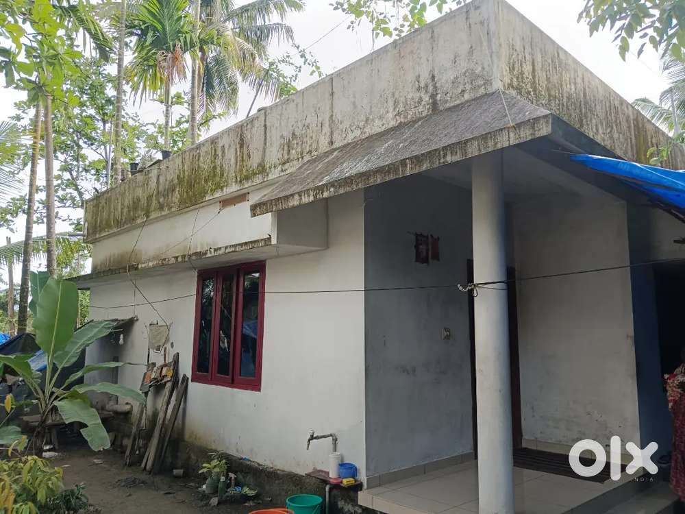 House 2BHK in 4.5 cent plot