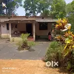 Agriculture land for sale