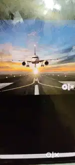 Job providing on airlines