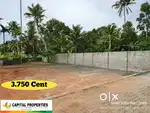 3.750 Cent (തൃപ്പൂണിത്തുറ - ഉദയംപേരൂർ )-(Gated Community Plot)