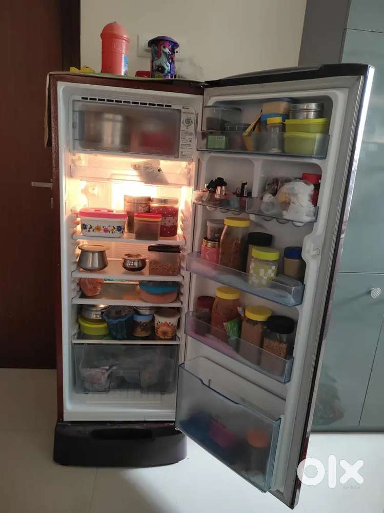 Samsung Single Door Inverter Fridge 234L RR24M289YR2/NL (2017)