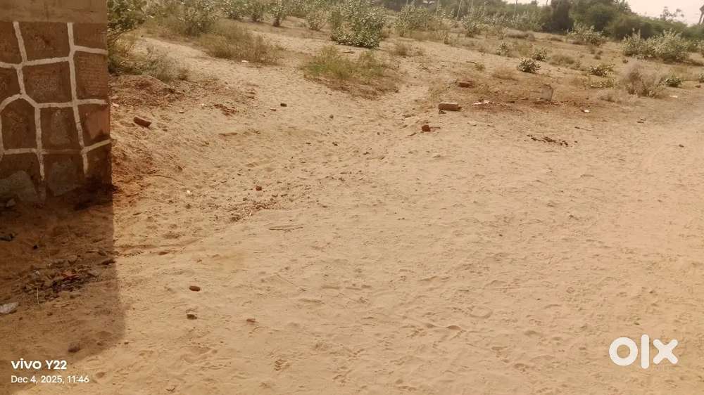 4 बिंगा जमीन किसी भाई को बेसनी हो तो संपर्क करे