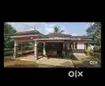 Kothamangalam karukadom 1 acre 50 cent and house for sale