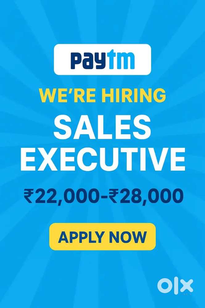 Sales executive manager