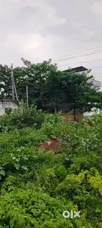 VUDA APPROVED PLOT FOR SALE IN SUJATHA NAGAR (PAPAIAH RAJU PALEM)