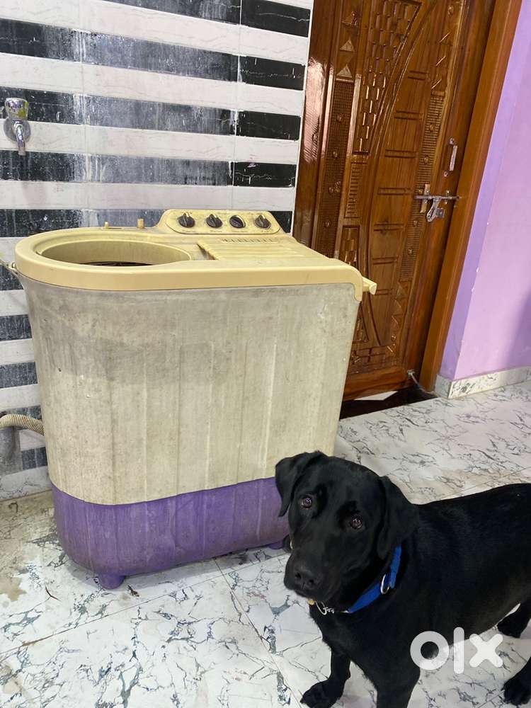 Purple colour very good condition