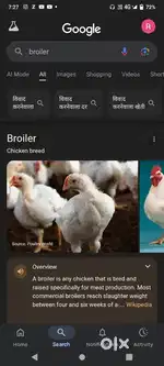 Poultry farm