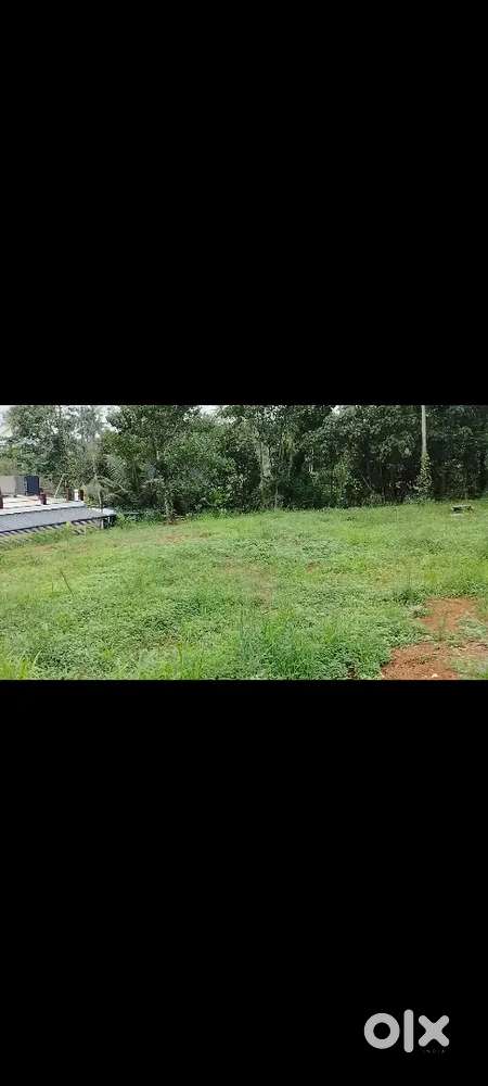 for property in  poovanthuruth panachikkad Kottayam  District