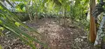 Near CUSAT - 4.5 cent House Plot for sale