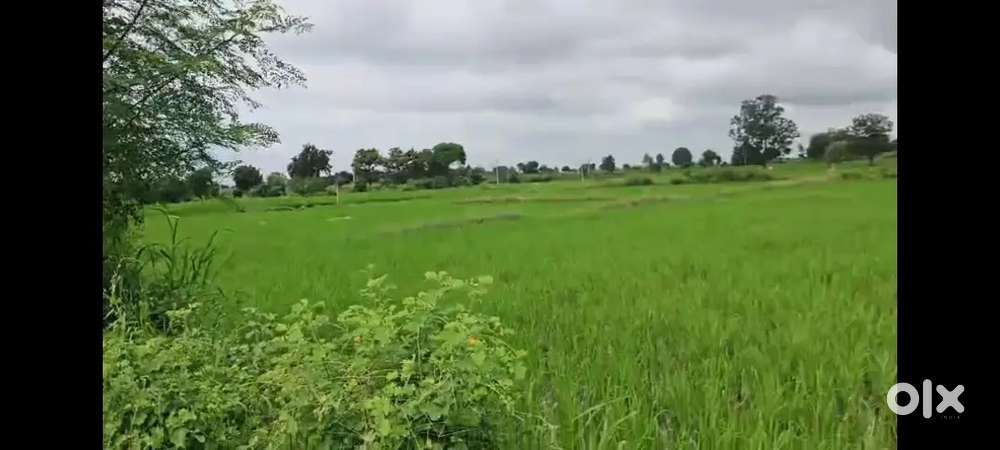 30 guntas land for sale kamareddy dist road bit highway to land 3km