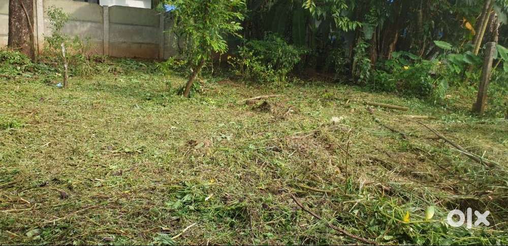 cent at Puranattukara