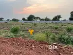 Nannur to Loddipalie Main Road side Venture