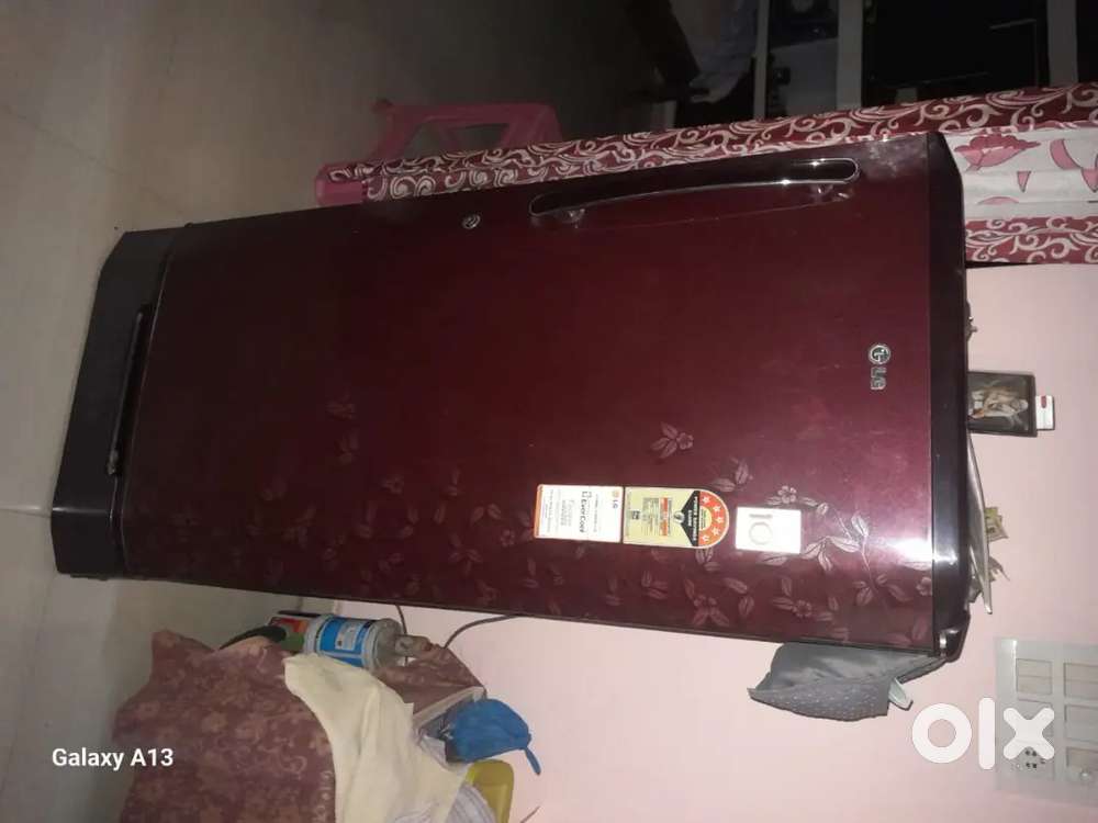 Dining table, sofa, fridge and all house items