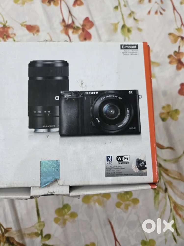 Sony A6000 with 50-210 OSS lens