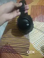 Zebronic headphone