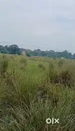 4Bigha Land Near Rishikesh Chilla Road
