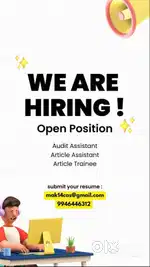 Audit Assistant