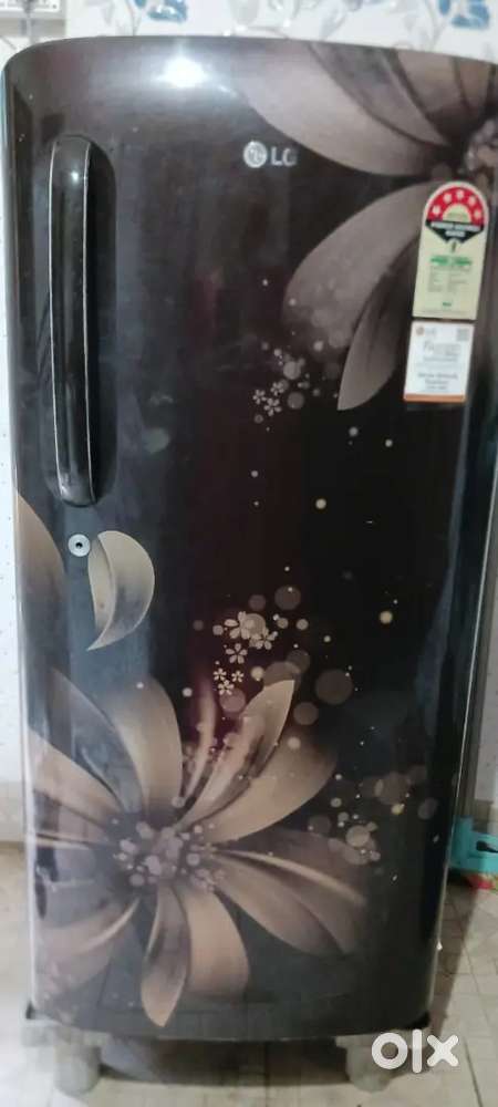 Single door refrigerator LG