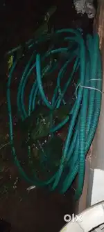 Good candishan